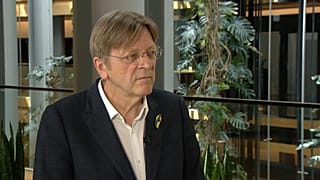 Avrupa Parlamentosu üyesi Guy Verhofstadt