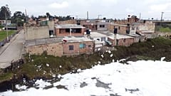 De la mousse au pied des maisons