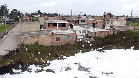 De la mousse au pied des maisons