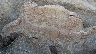 اسکلت کشف شده یک ایکتیوسور در هند(عکس آرشیوی است)