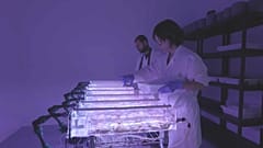 Segundo as disposições ucranianas, só as cientistas e os cientistas com mais de 60 anos podem deixar o país