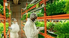 There are more green jobs than people with the skills to do them, says the expert.
