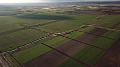 Landwirtschaftliche Flächen in der Ukraine
