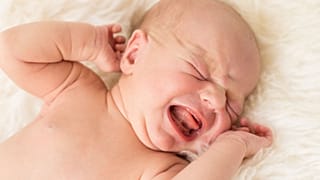 عکس تزیینی است