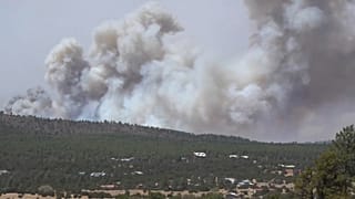 El incendio forestal está fuera de control