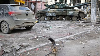 Un tanque en la zona controlada por los separatistas prorrusos en Mariúpol (Ucrania).