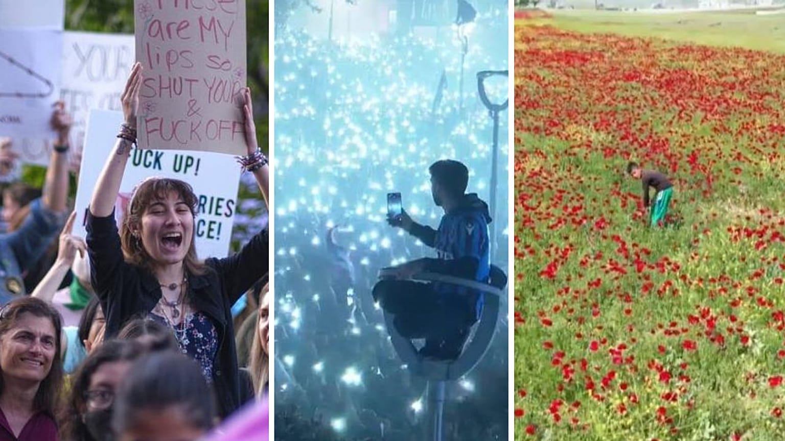 No comment videos of the week.