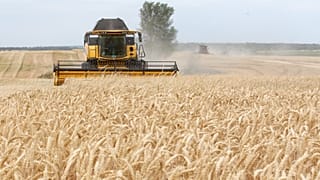 Archives : moisson de blé à Krasne en Ukraine, le 30 novembre 2018