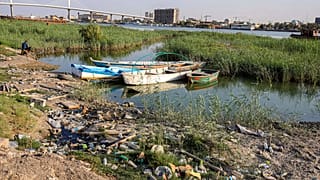 Ψαρόβαρκες έχουν κολλήσιε στην όχθη Shatt al-Arab στη Βασόρα του Ιράκ, εικόνα αρχείου