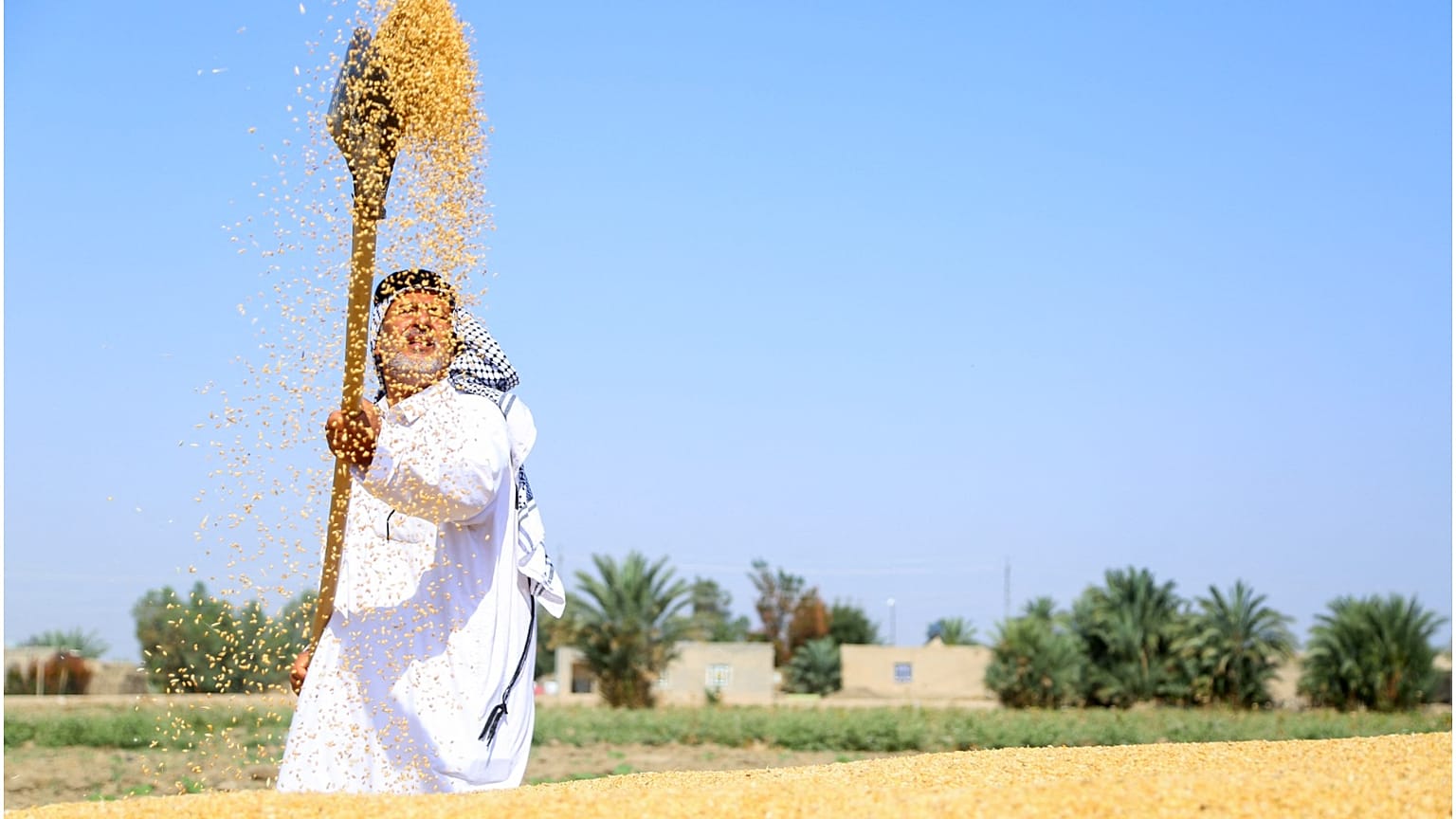  المزارع كامل حامد