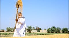  المزارع كامل حامد
