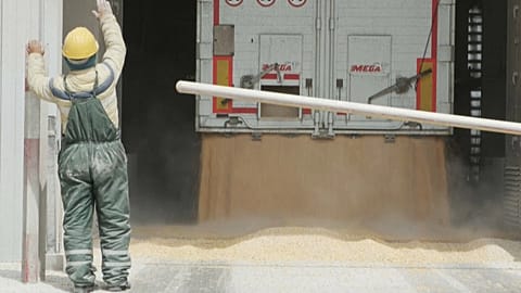 Worker at the Comvex transport company oversees truck unload grain ar hub in Constanta
