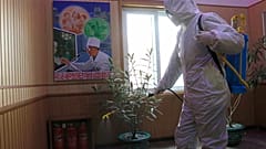 Санитарная обработка в одном из зданий в Пхеньяне 