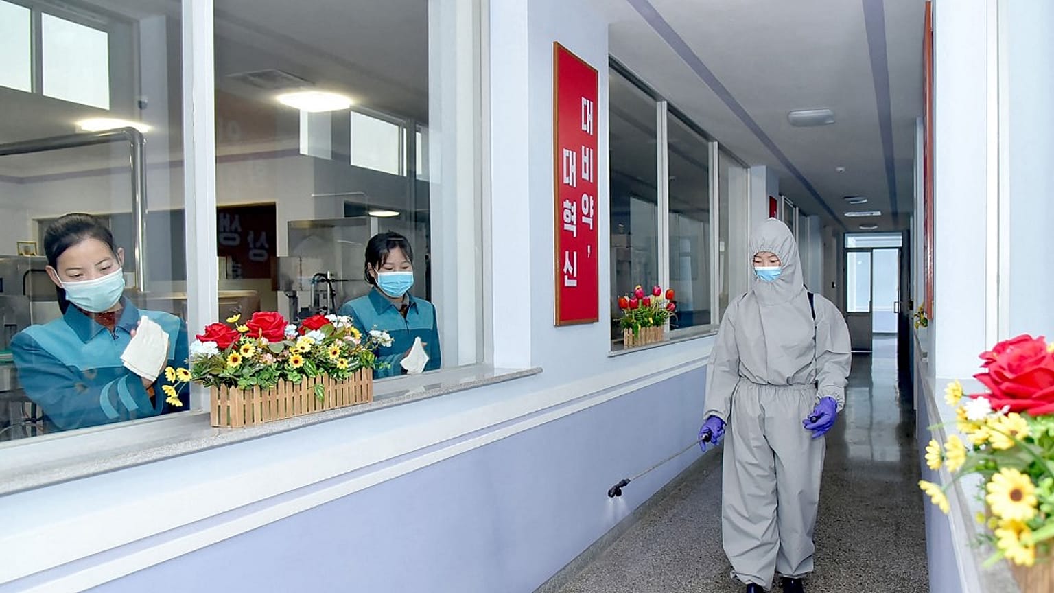 Pyongyang admite surto de covid-19