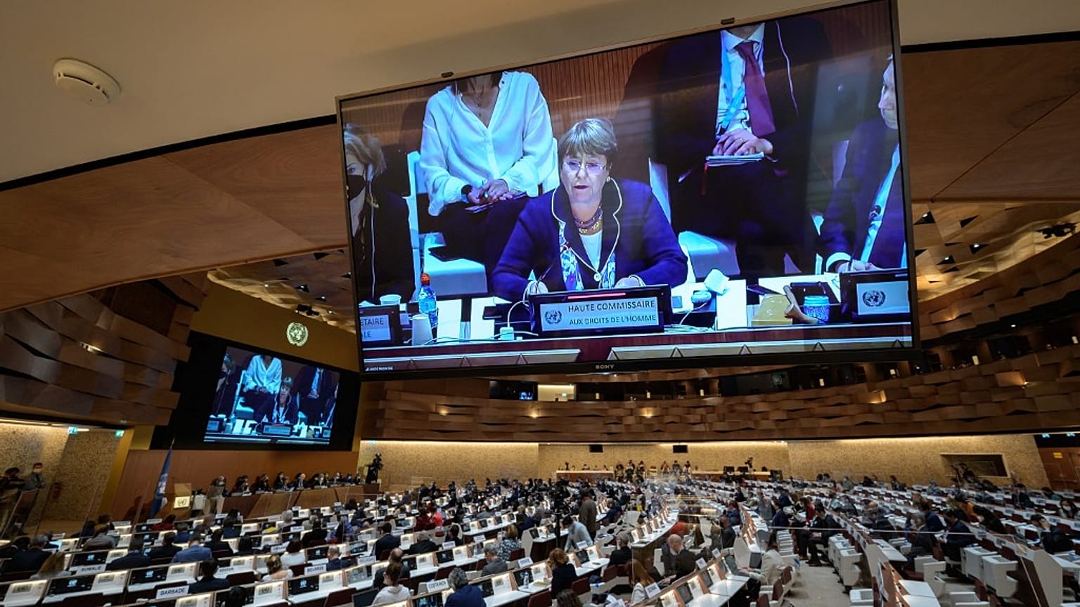 Consiglio Diritti umani Onu