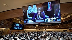 Consiglio Diritti umani Onu
