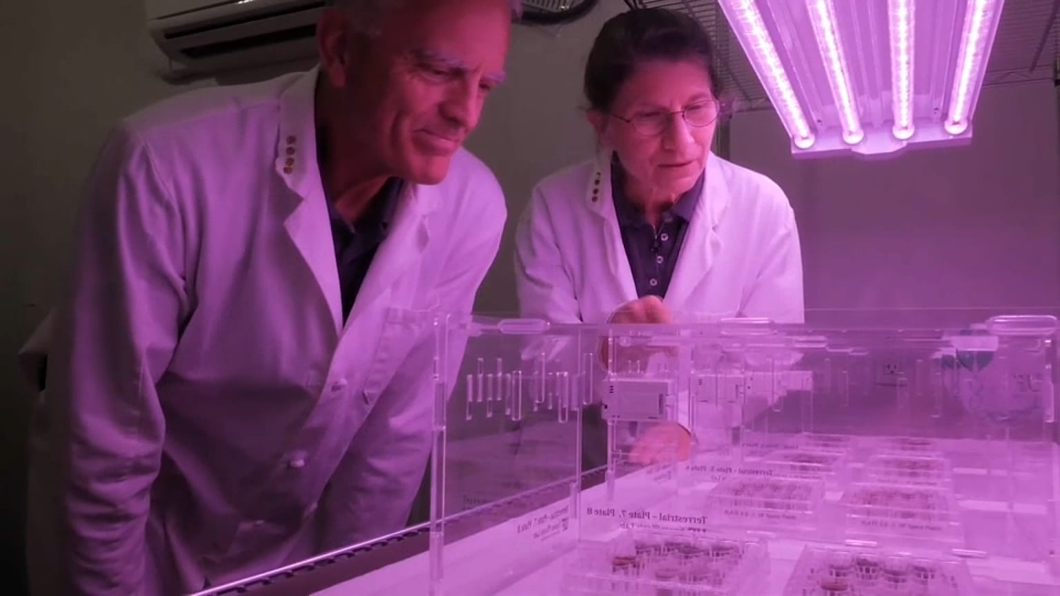Les scientifiques Robert Ferl et Anna-Lisa Paul.