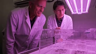 Les scientifiques Robert Ferl et Anna-Lisa Paul.