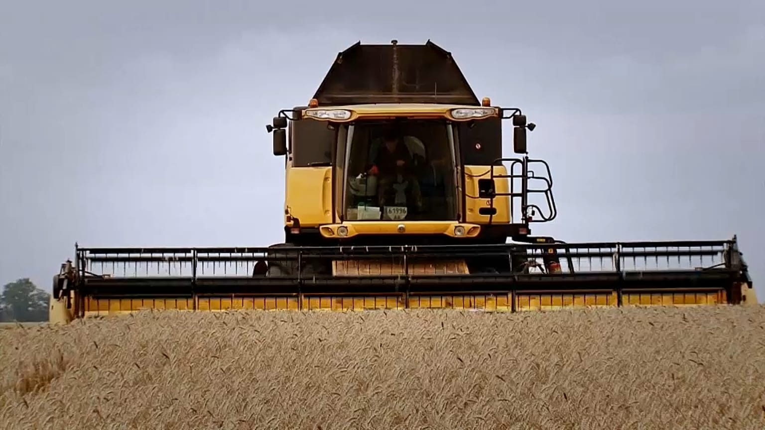 Trabajo agrícola en Ucrania
