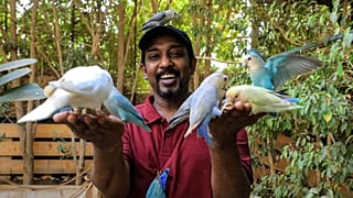 Akram Yehia mit einigen Schützlingen, die ihm friedlich aus der Hand fressen