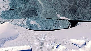 Banquise au large de la péninsule antarctique orientale photographiée par le satellite Lansat 8 de l'USGS/NASA