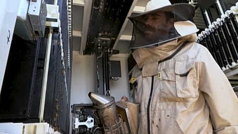 خلايا النحل في إسرائيل تدار بشكل آلي من قبل روبوت