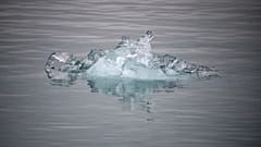 Bloco de gelo flutua depois de se separar do glaciar de Nordenskiold, no norte da Noruega