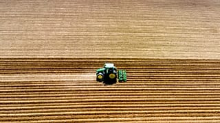 La crisi alimentare minaccia le riserve alimentari globali.