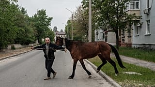 Wider Erwarten hat er sein Pferd wiedergefunden und bringt es jetzt heim.