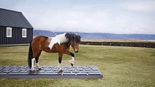 Visit Iceland has launched a unique way for travellers to unwind