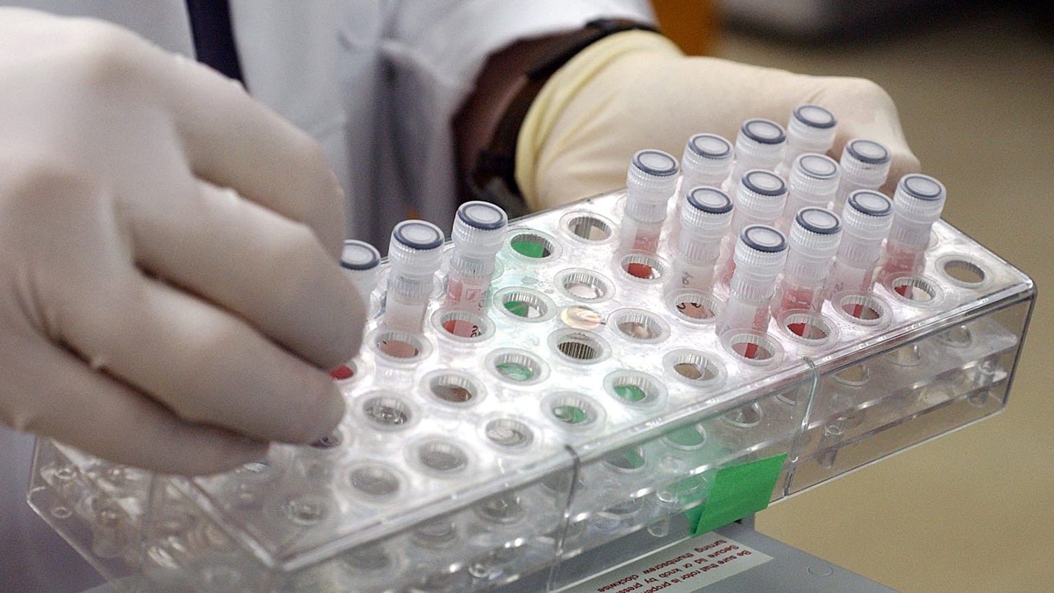 Dr. Danny G. Mead, an assistant research scientist in the College of Veterinary Medicine at the University of Georgia, works with vials containing mosquitoes.