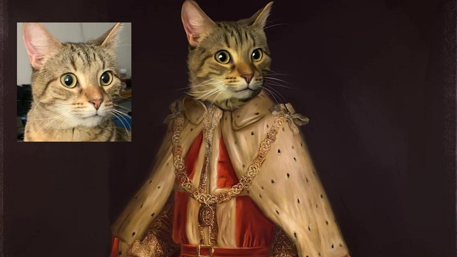 A regal kitten