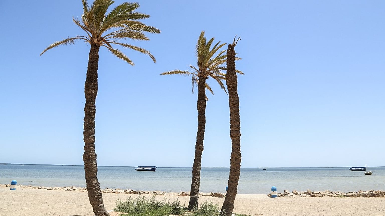 The port city of Sfax has become a major departure for migrants trying to reach Europe.