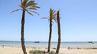The port city of Sfax has become a major departure for migrants trying to reach Europe.