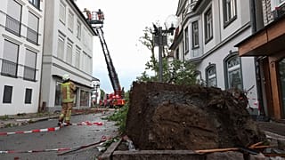 Kármentesítés vihar után