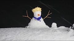 Schneemann in Brasilien