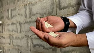 Producción agrícola en Venezuela afectada por la falta de fertilizantes