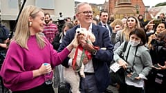 İşçi Partisi Lideri Anthony Albanese oy kullanmaya köpeği ile gitti