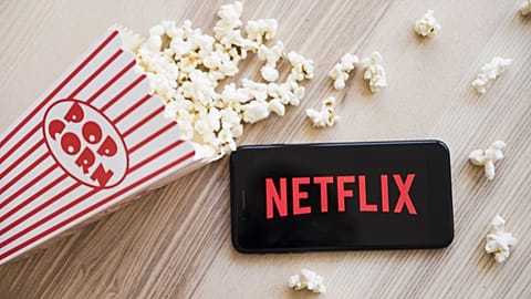 There might not be a European counterpart to Netflix, but the best of European cinema can be found on the American streaming giant.