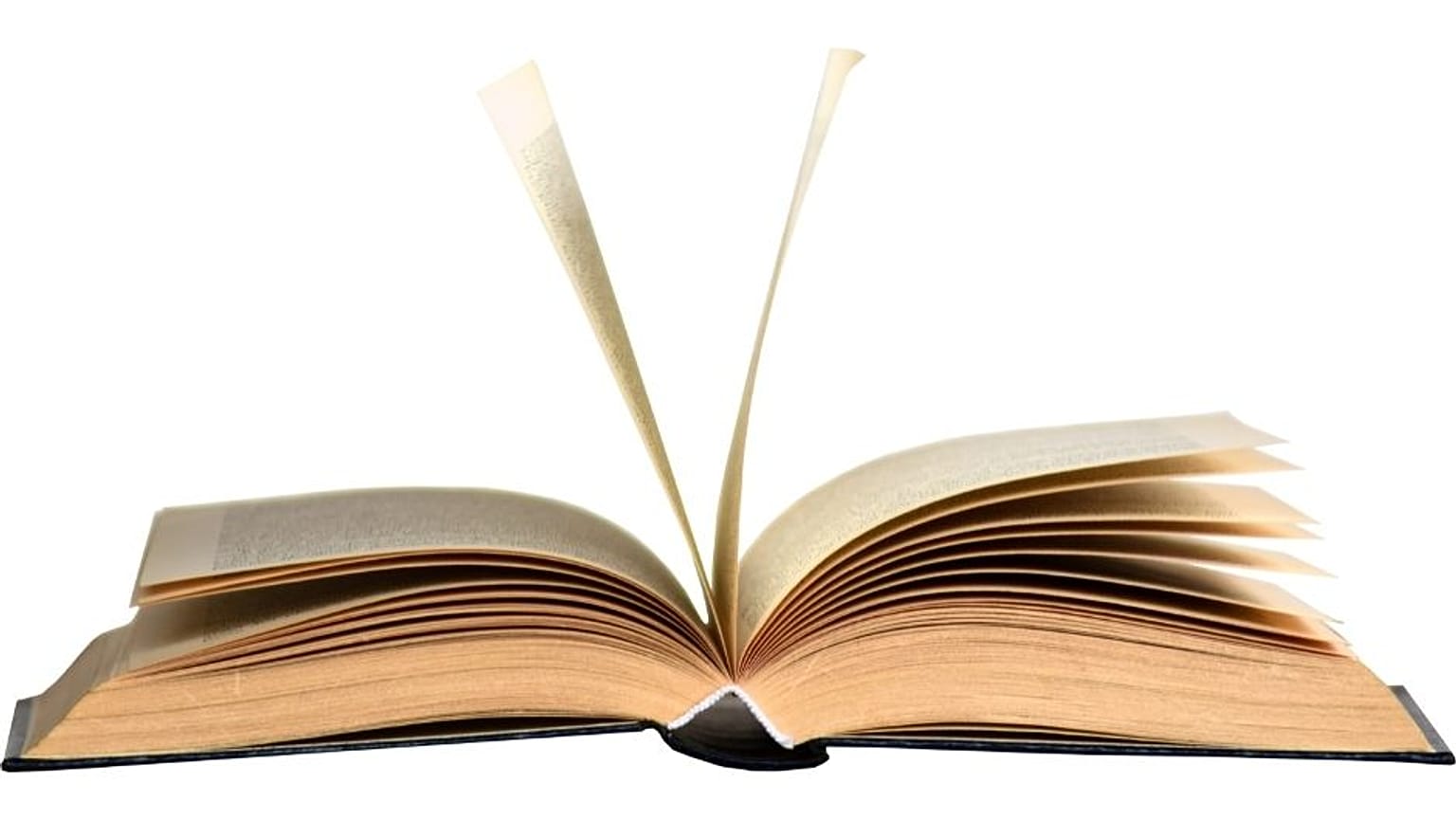 $50,000 will be made available to translate the book into English.