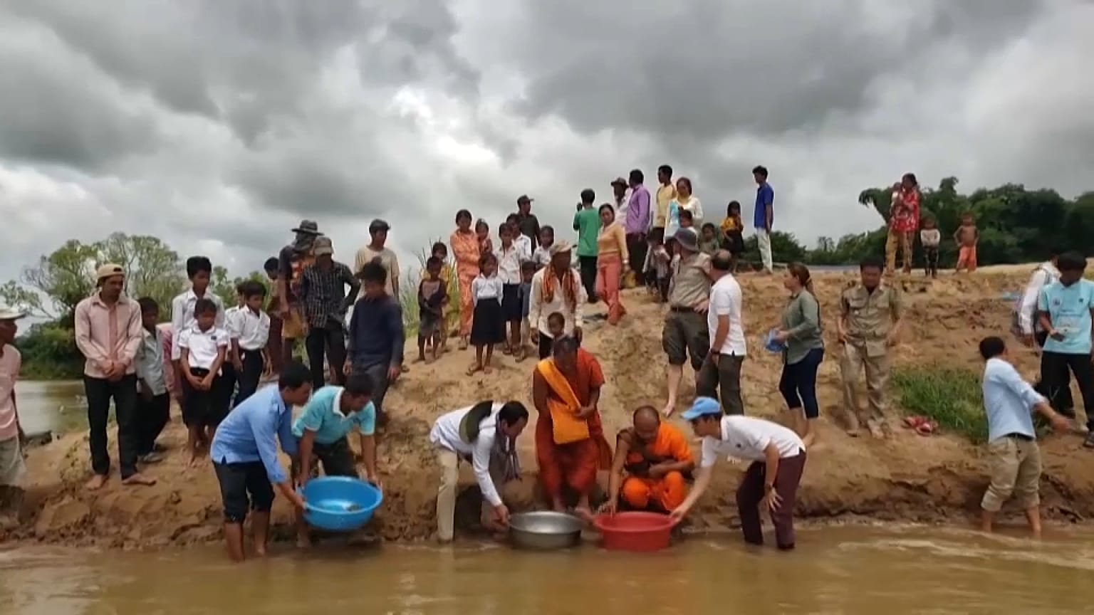 Centenas de tartarugas bebés libertadas no Camboja
