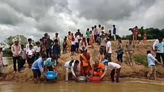 Centenas de tartarugas bebés libertadas no Camboja