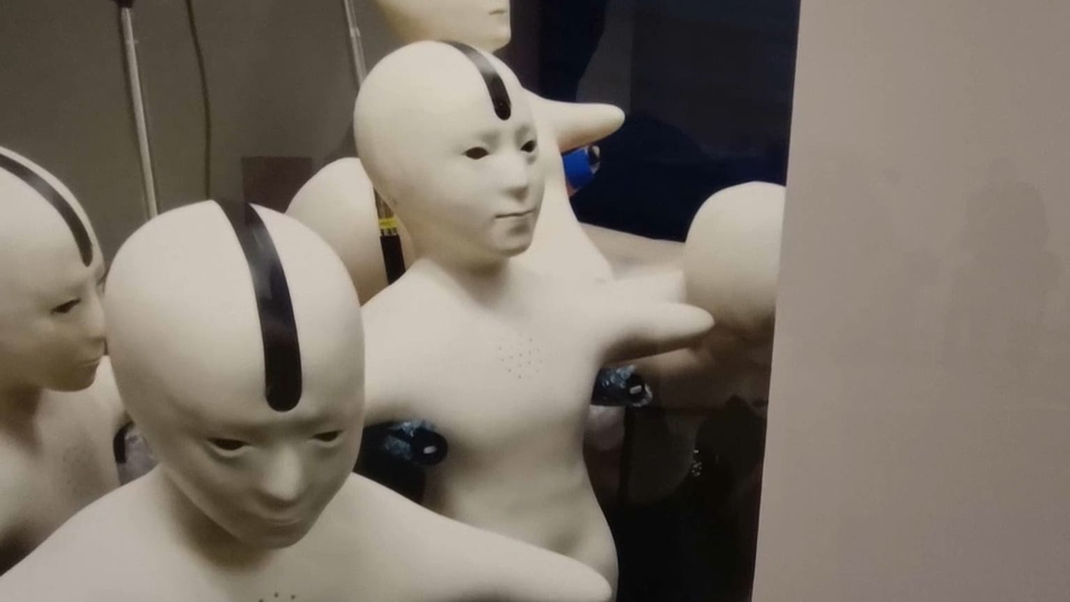 Robot sergisi