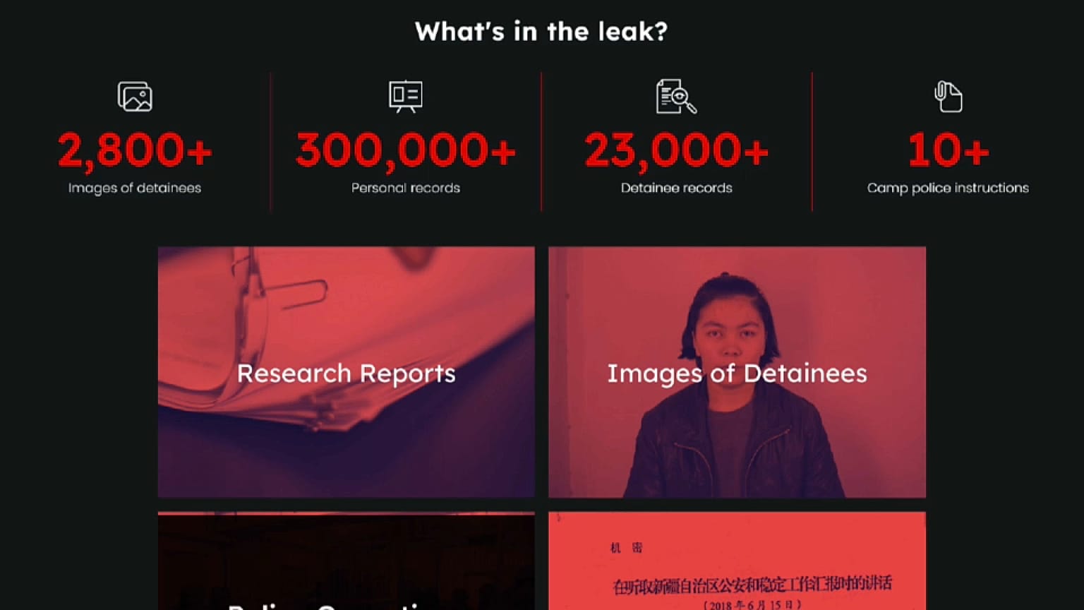 "Xianjiang police files" 