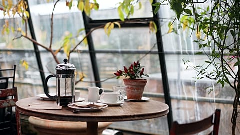 Garden cafés offer picturesque settings and respite from the heat for visitors to Venice this summer. 
