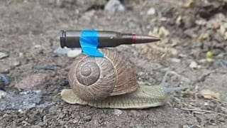 La foto che accompagna il tweet con cui l'ambasciatore ucraino in Germania polemizza sui ritardi nella consegna delle forniture da Berlino: "Le armi tedesche sono in arrivo"