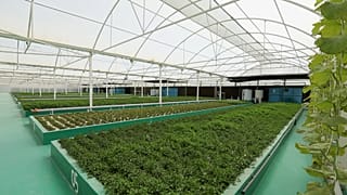 Qatar’s farming innovations: from vertical solutions to honey production