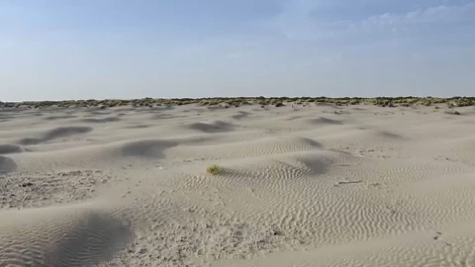 Il parco nazionale di Doñana in Spagna
