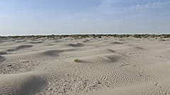 Donana Nationalpark