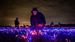 Les mélanges de lumière aident les plantes à pousser aux Pays-Bas